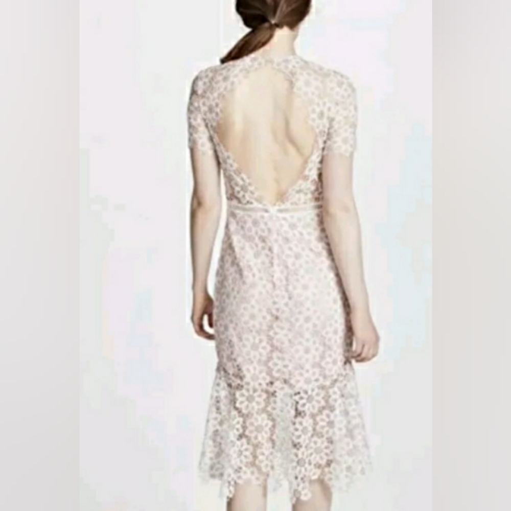 New Tags Saylor Anthropologie Lille Pink Lace Spring Dress L - Picture 6 of 9
